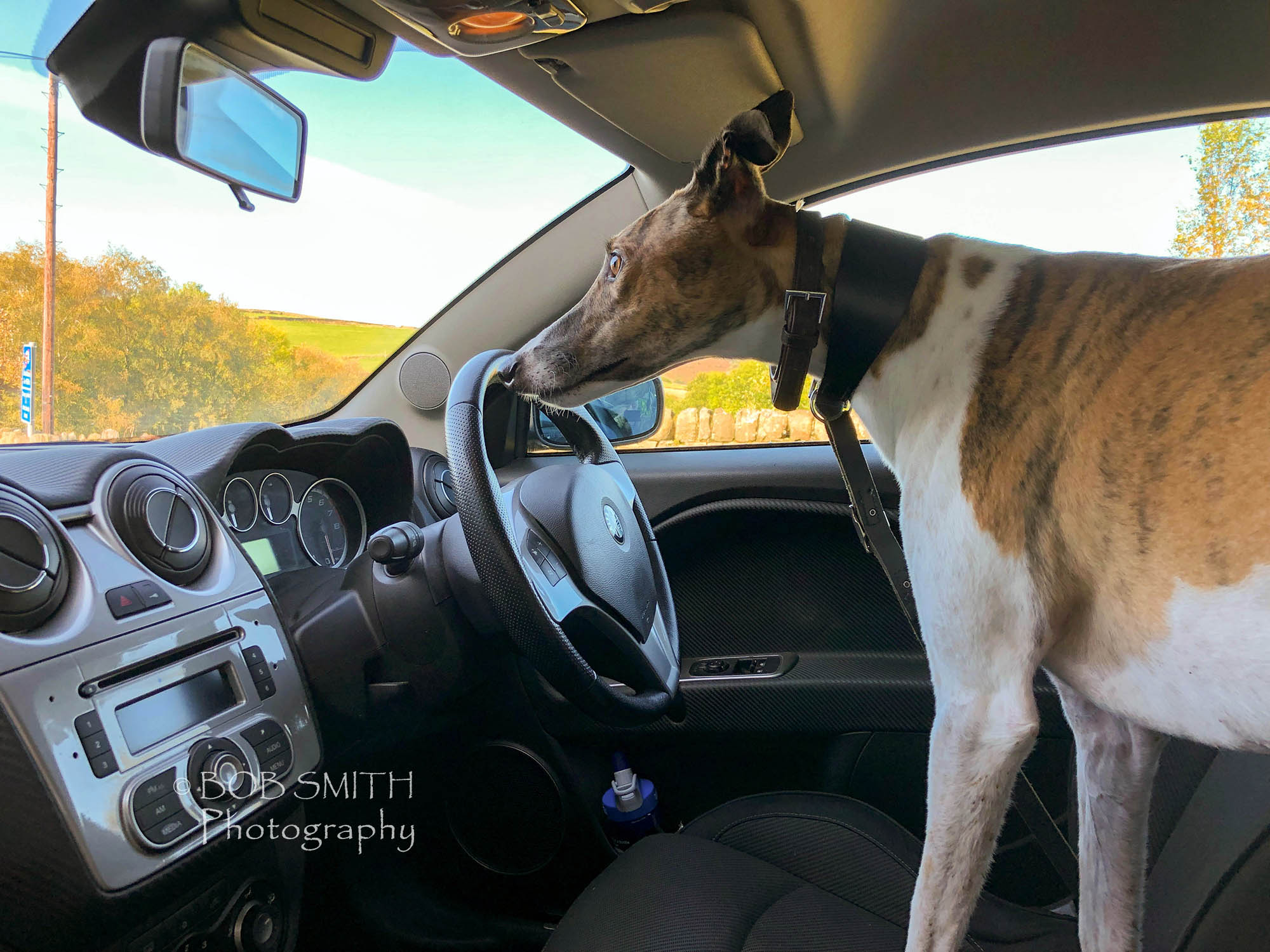 Noah takes the driving seat