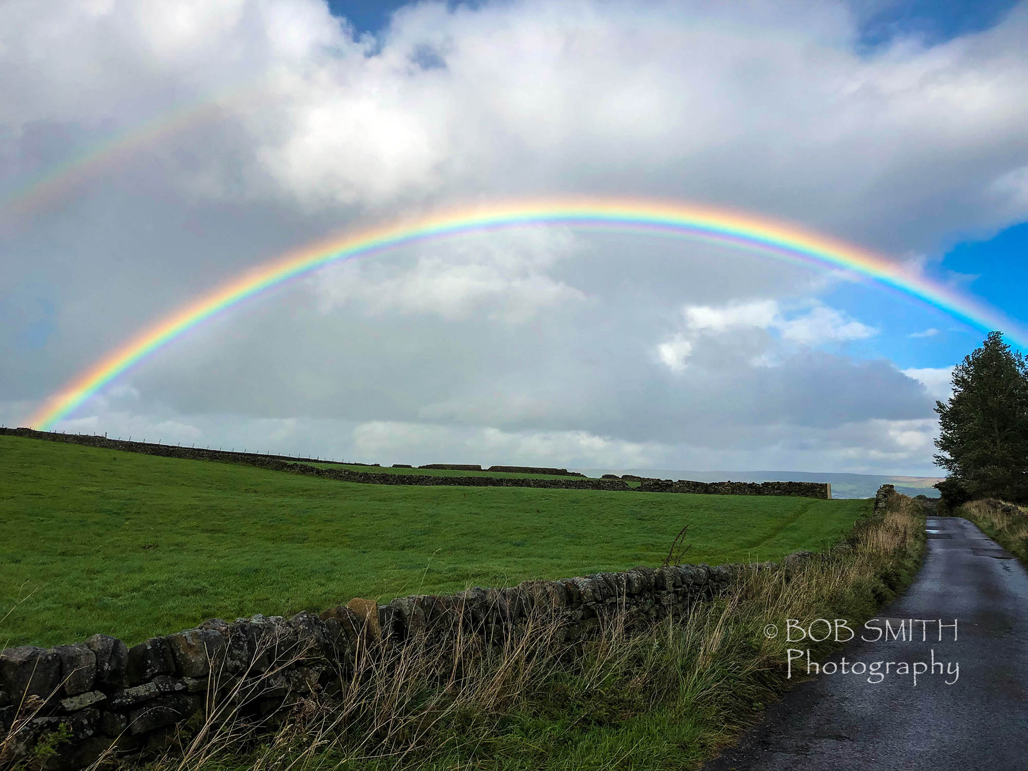 A rainbow near my home.