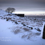 Top Withins in winter