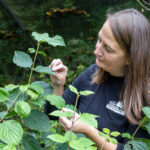 Tree Council visit to Yorgreen, Keighley